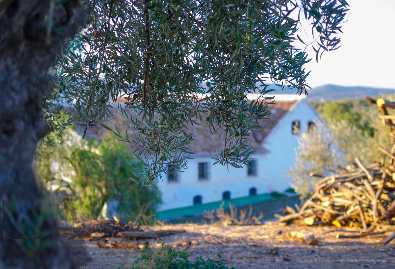 Villa Cortijo Alzamigaja Archidona Esterno foto