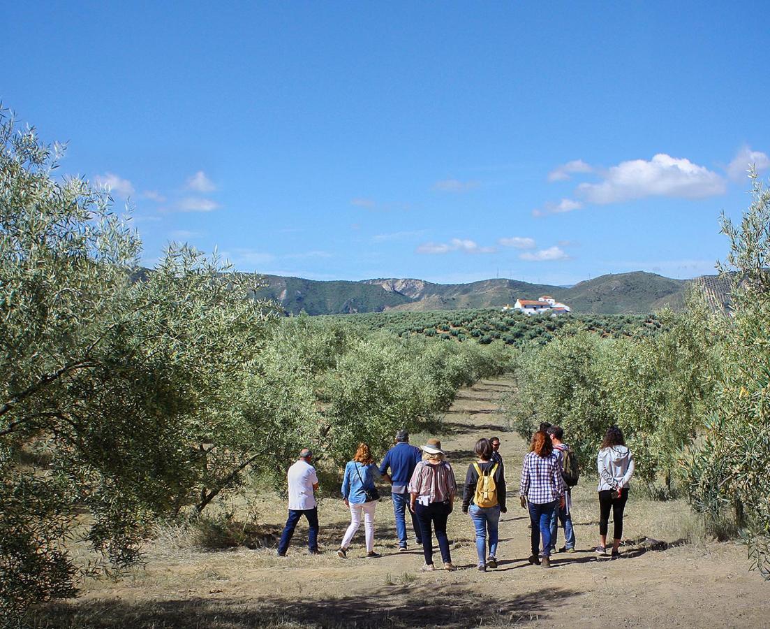 Villa Cortijo Alzamigaja Archidona Esterno foto