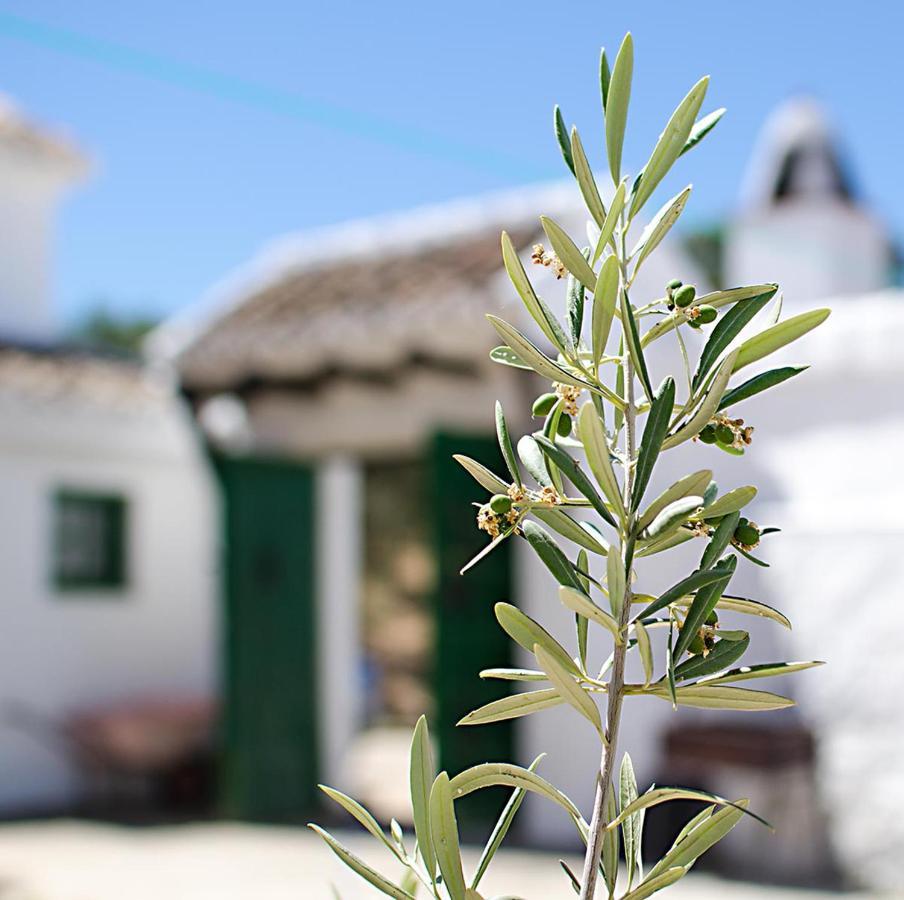 Villa Cortijo Alzamigaja Archidona Esterno foto