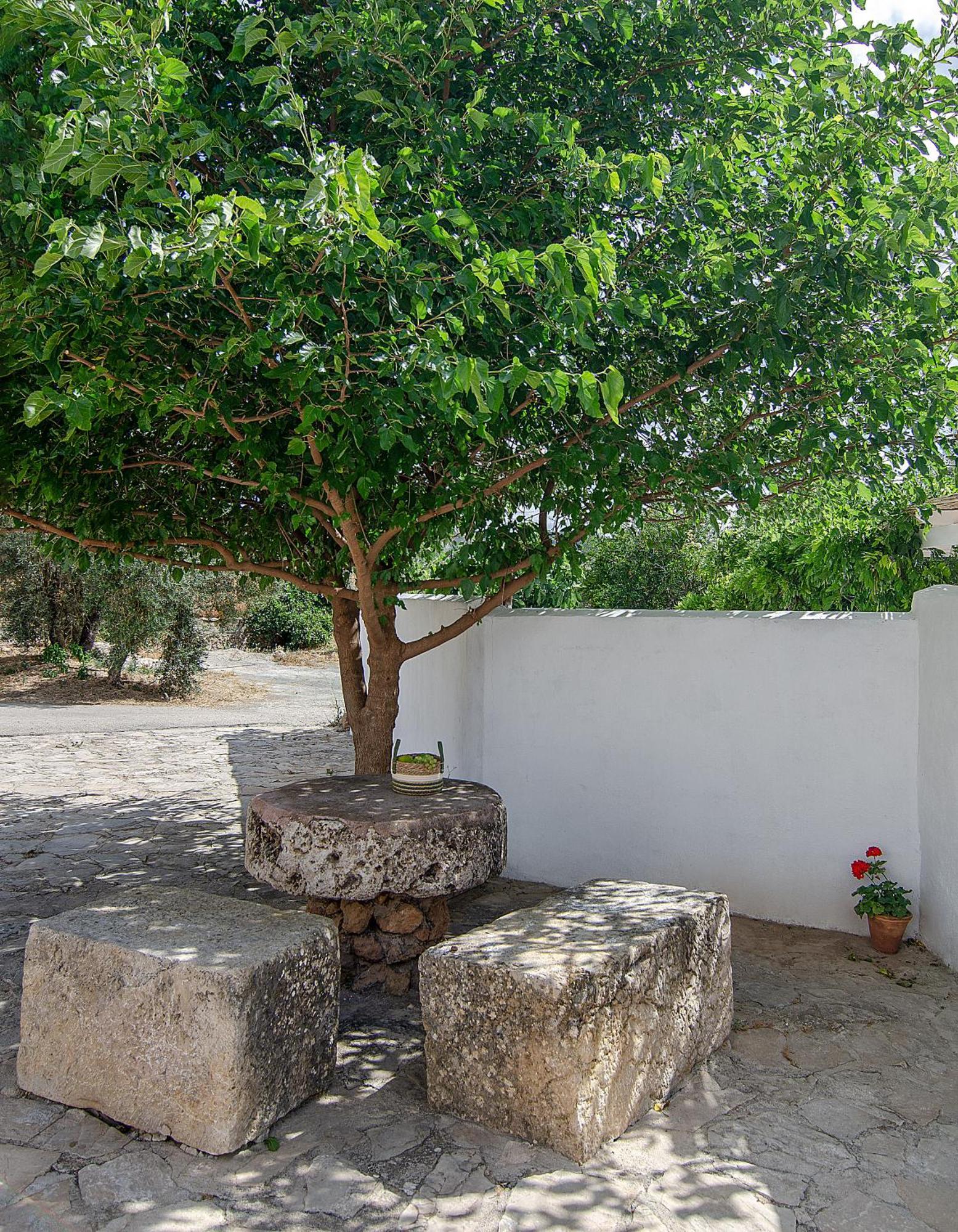 Villa Cortijo Alzamigaja Archidona Esterno foto